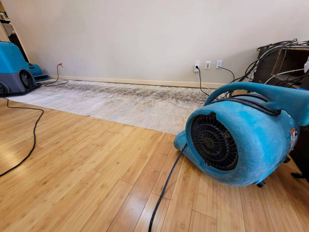 Professional Burst Pipe Water Damage technician working in Williston, SC